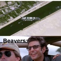 point to the beavers