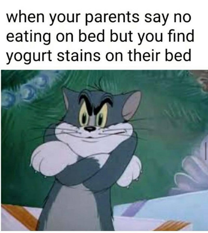 What flavor of yogurt? - meme