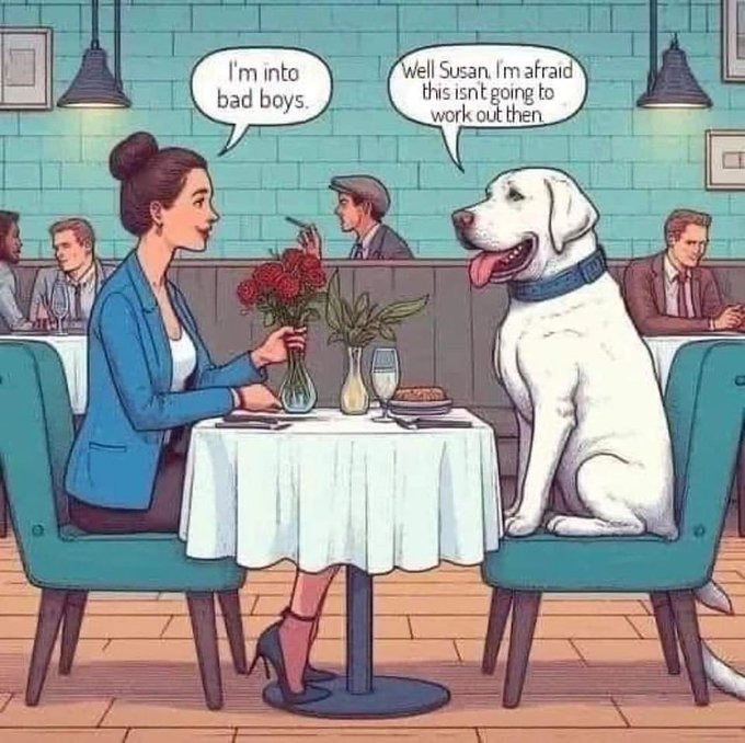 Latest memes / New memes :) Memedroid