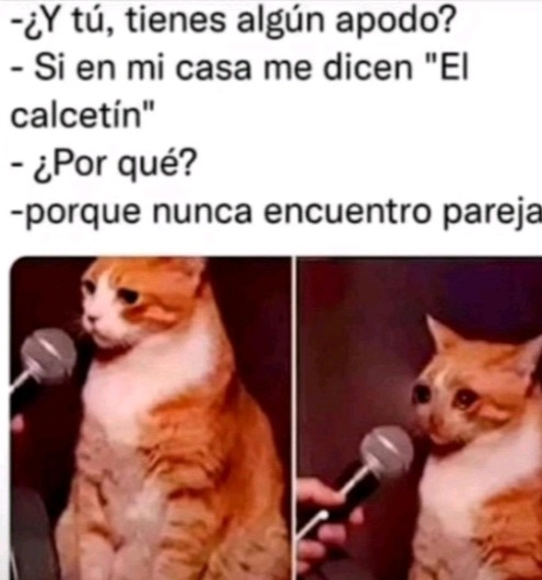 Que - meme