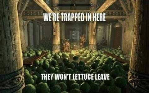 Lettuce - meme