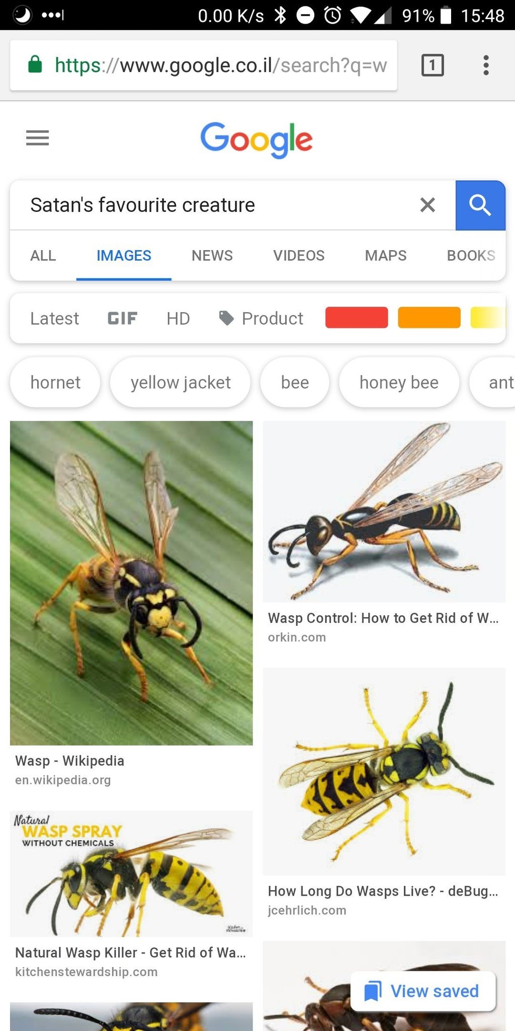 Wasps are assholes - meme