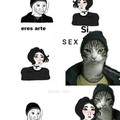 Gato sexo