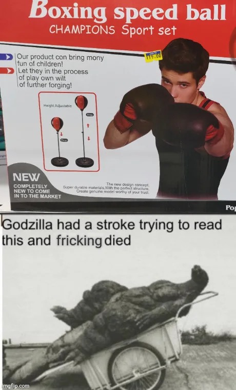 Godzilla died reading this - meme