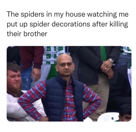 spiders during halloween 2022
