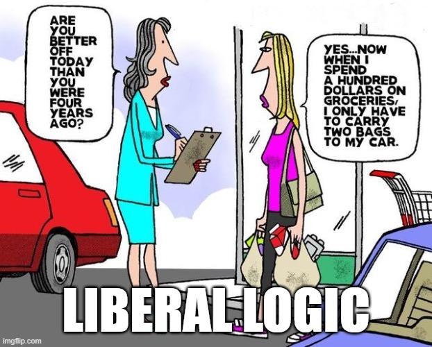 Liberal Logic - meme