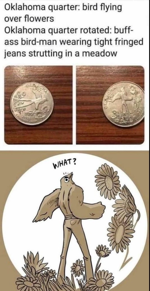 bird - meme