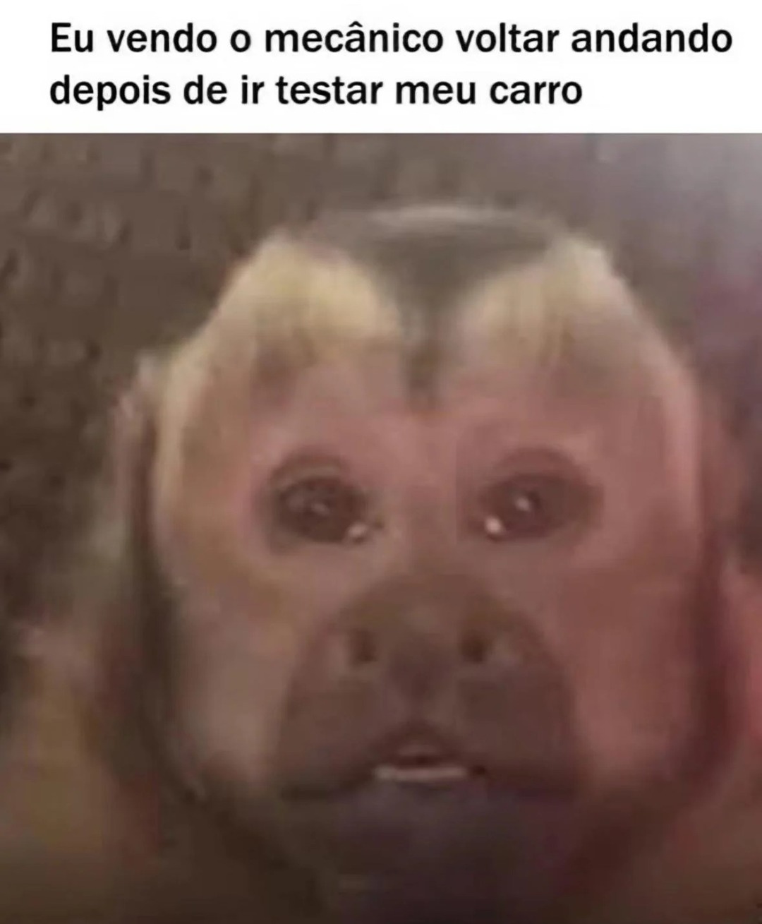 Extremamente foda - meme