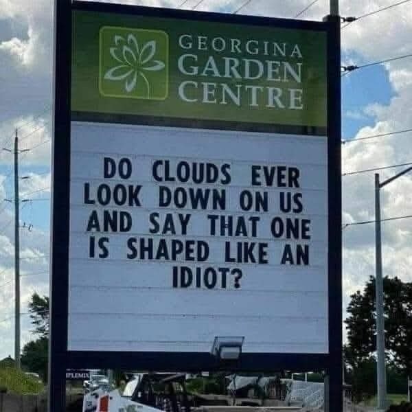 Do clouds ever look down and think we’re the weird-shaped ones? - meme
