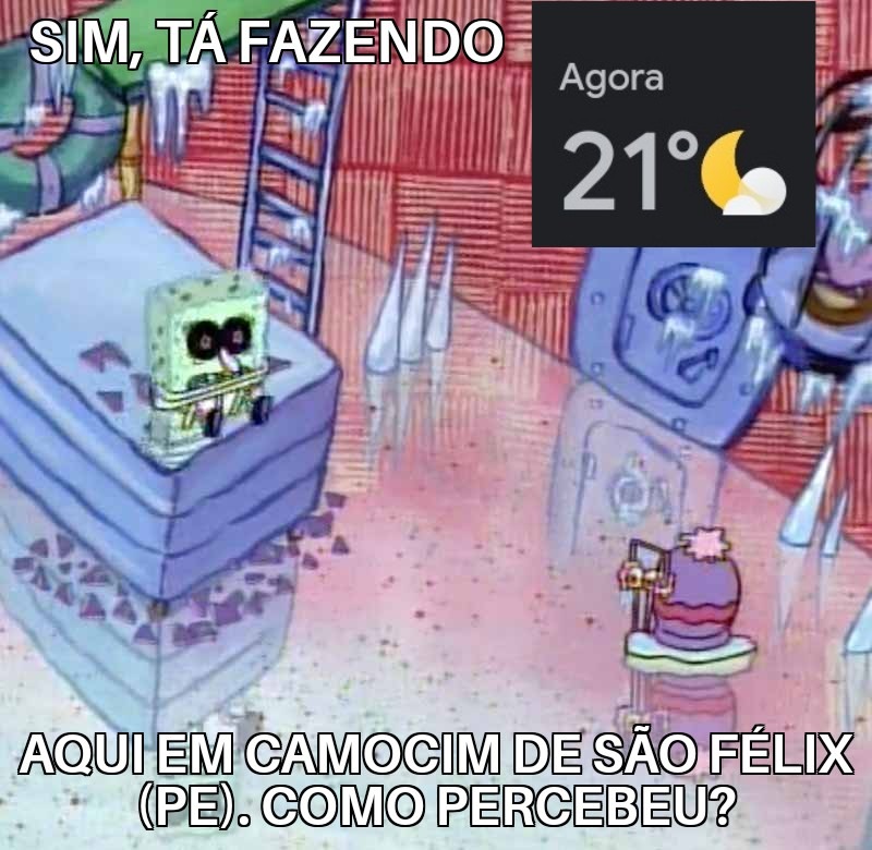 Aqui em Pernambuco 26 graus já é considerado muito frio - meme