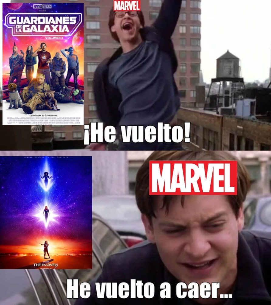 meme de the marvels