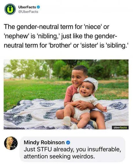 Gender neutral term for niece - meme