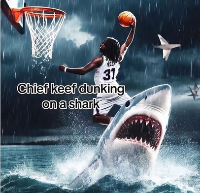 SHARK DUNK - meme