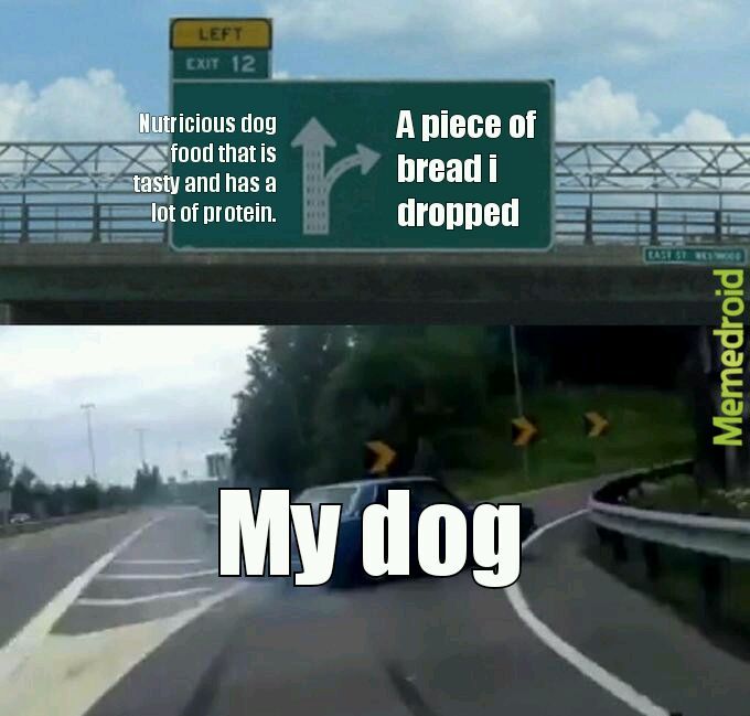 Dog food and bread - meme