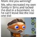 Playing Sims