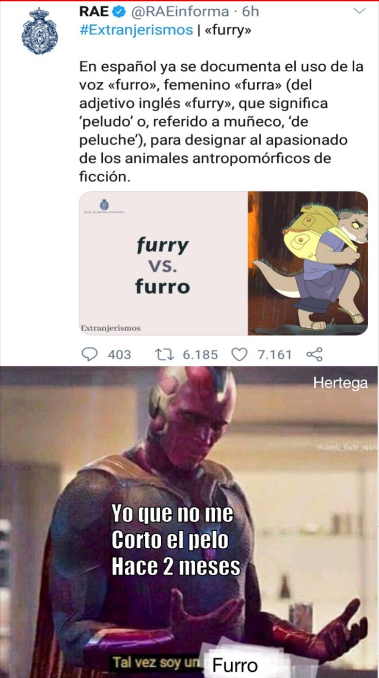 Ayudaaaaa no quiero ser furro :( - meme