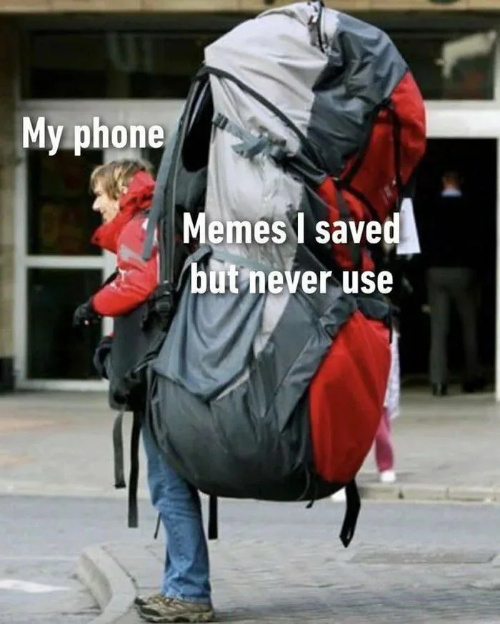 I have about 8000 memes in my phone ready to be posted
