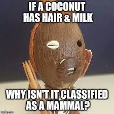 GOOD QUESTION - meme