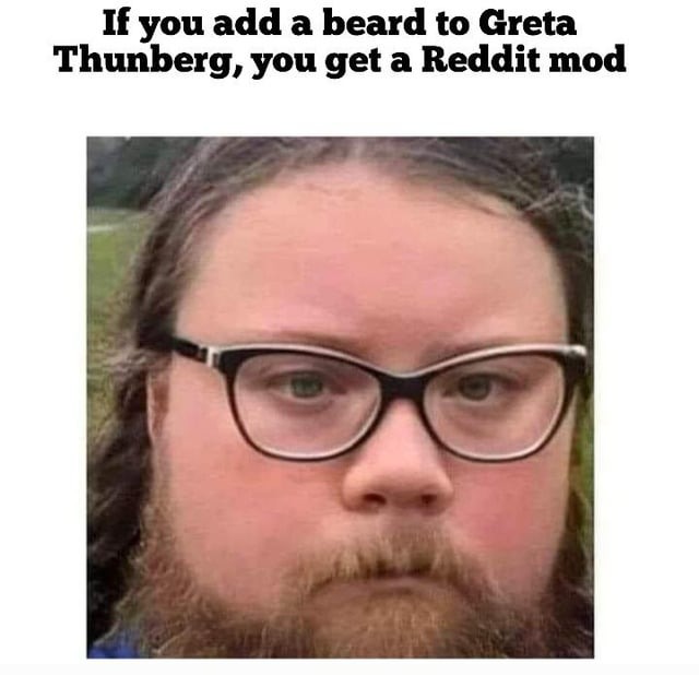 Greta Thunberg with beard - meme