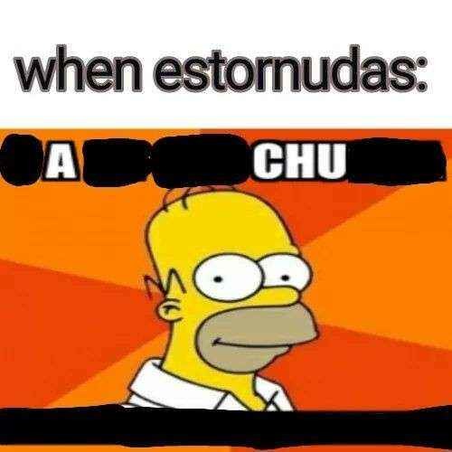 Cuando estornudas: - meme