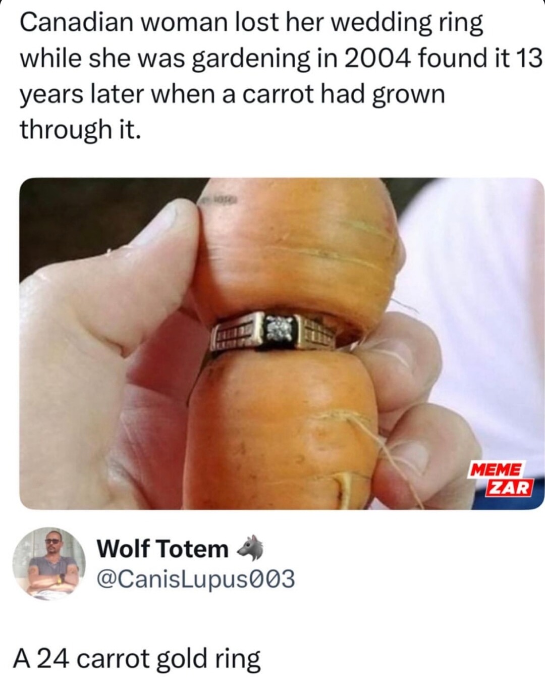 ﻿Canadian woman lost her wedding while she was gardening in 2004 found it 13 years later when a carrot had grown through it: MEME EAB Wolf Totem @CanisLupus003 A 24 carrot gold ring ring