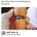 commented item thumbnail