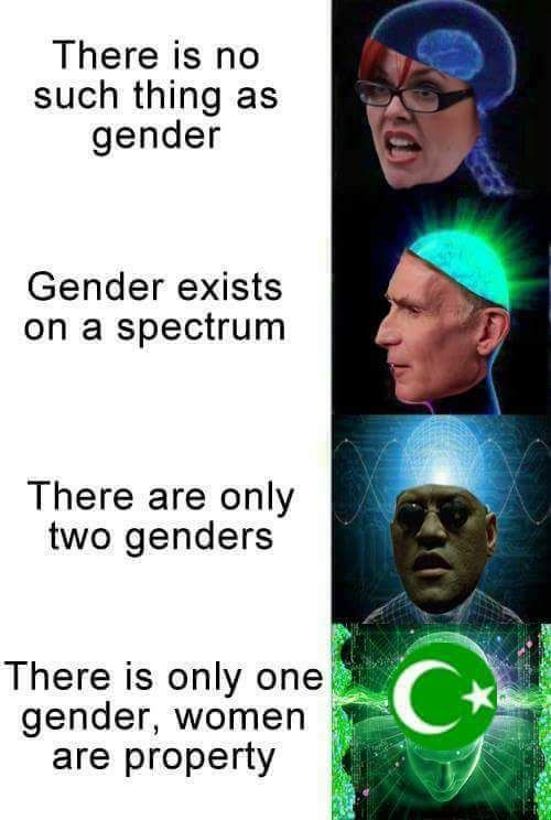 What's your gender? - meme