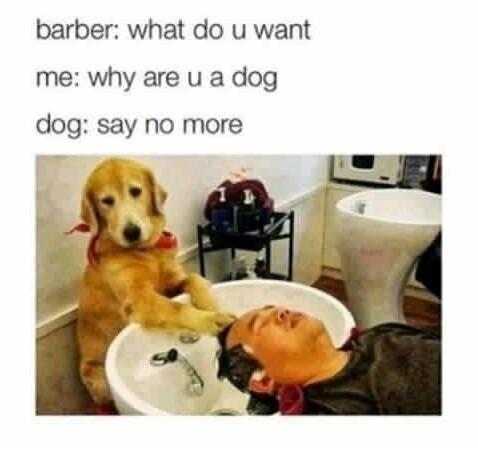 Perfect haircut - meme