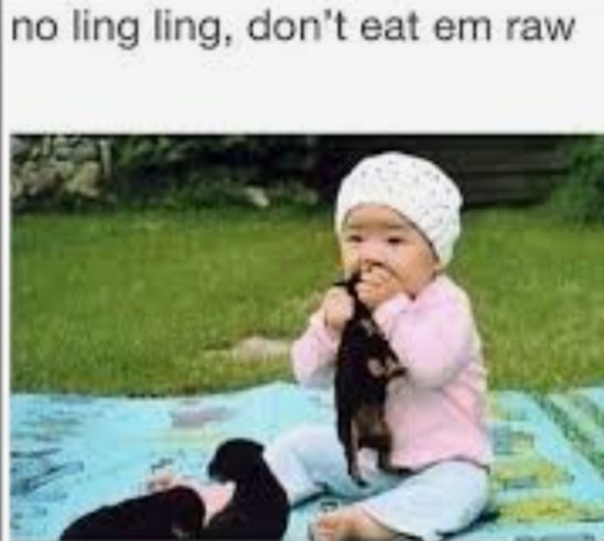Ling ling noooo - meme