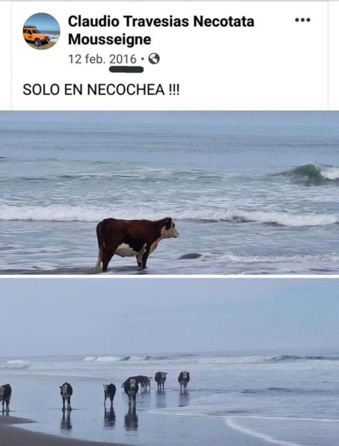 Necochea es una playa de Argentina - meme