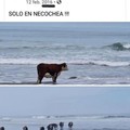 Necochea es una playa de Argentina