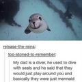 Wholesome seals