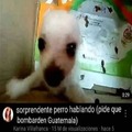 commented item thumbnail