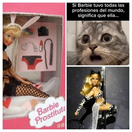Barbie tuvo todas las profesiones del mundo - meme
