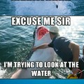 Inconsiderate shark is inconsiderate