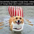 Doggo ship