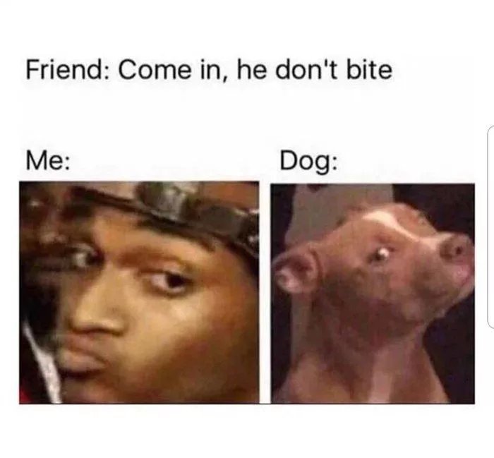 Pitbulls are great dogs, it's shitty owners that make them bad - meme