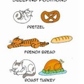 Foods inspired by sleeping positions