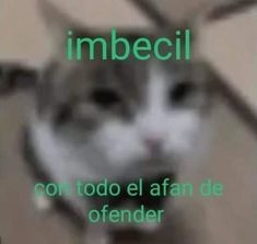 No tengo sueño - meme