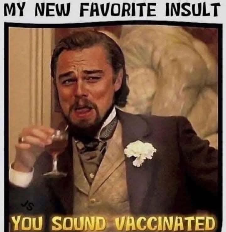 Making Americans Goyim Again Cultists, You Sound Indoctrinated. - meme