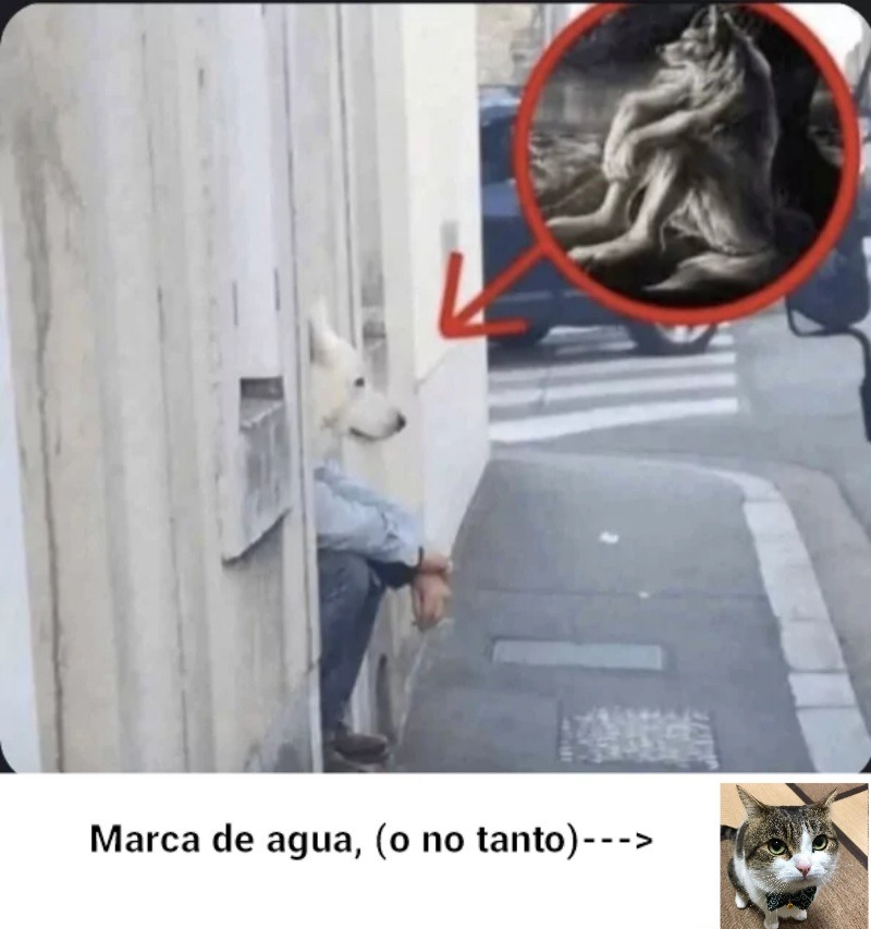 Meme para porfin ponerles marca de agua
