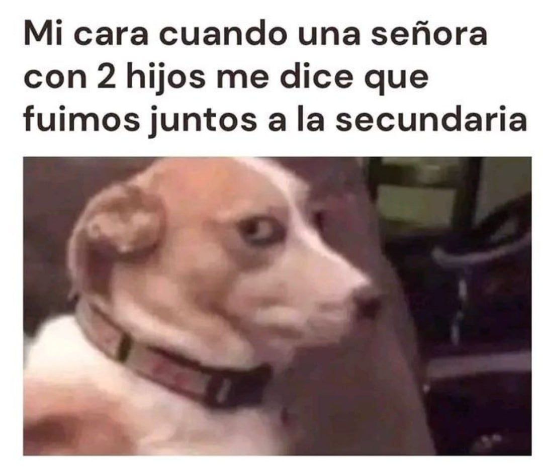 mi cara cuando una señora con hijos dice que fuimos al cole juntos - meme