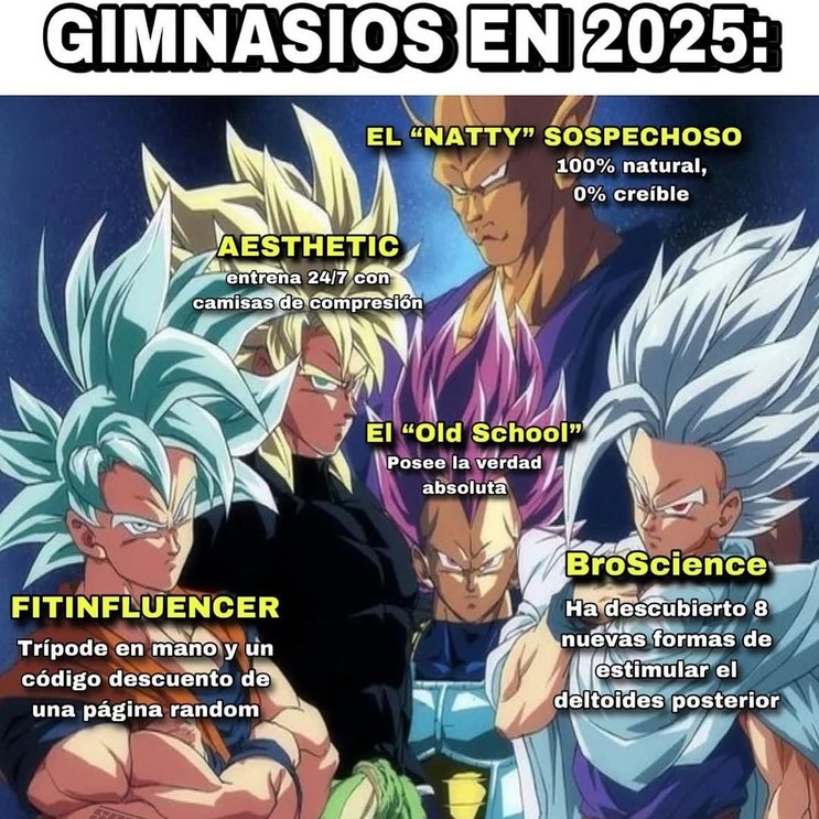 Gimnasios en 2025: nattys sospechosos, old school sabios y tripodes con descuento - meme
