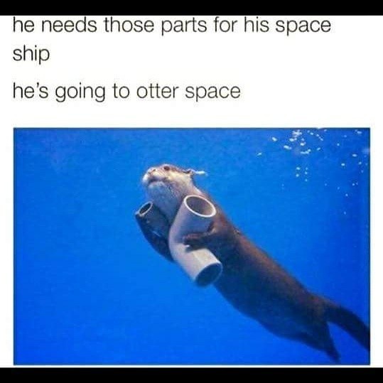 An otter joke - meme