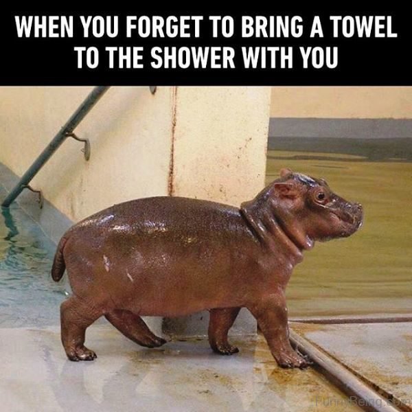 Need a towel - meme