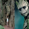 eae Groot