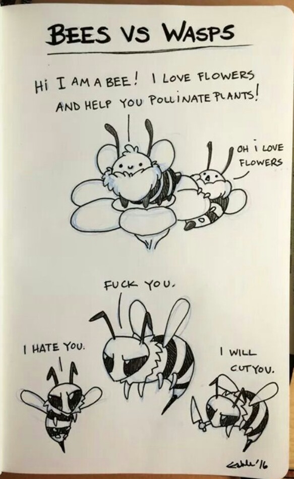Bees VS Wasps - meme
