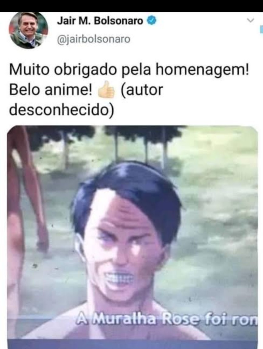 Attack on Bolsonaro  - meme
