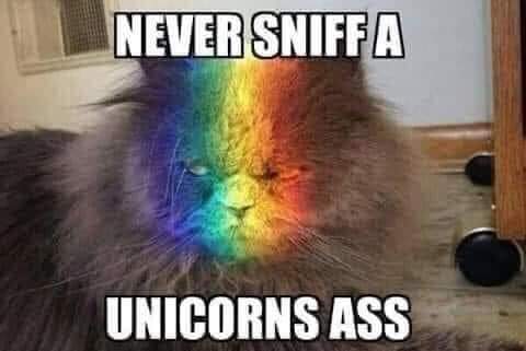 I eat unicorn ass - meme