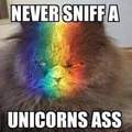 I eat unicorn ass
